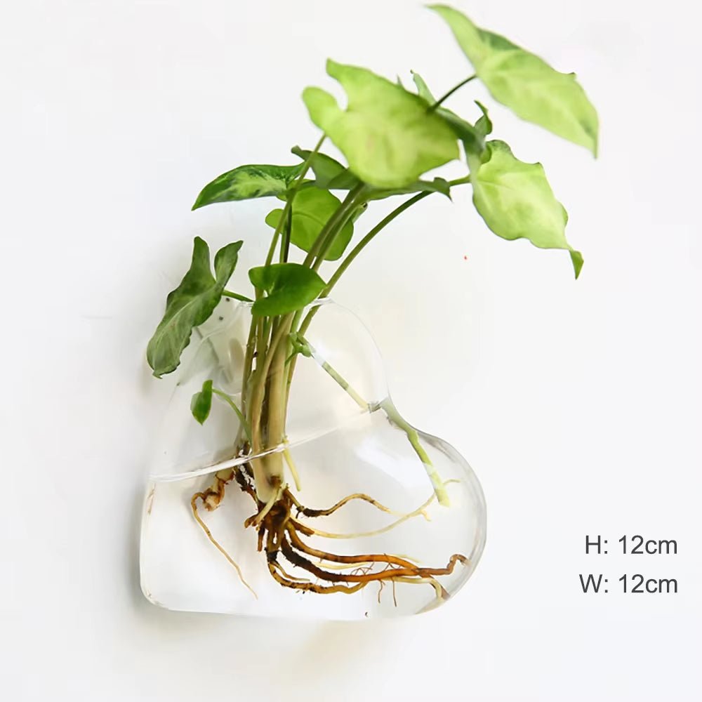 Wall Hanging Glass Flower - CornGrip